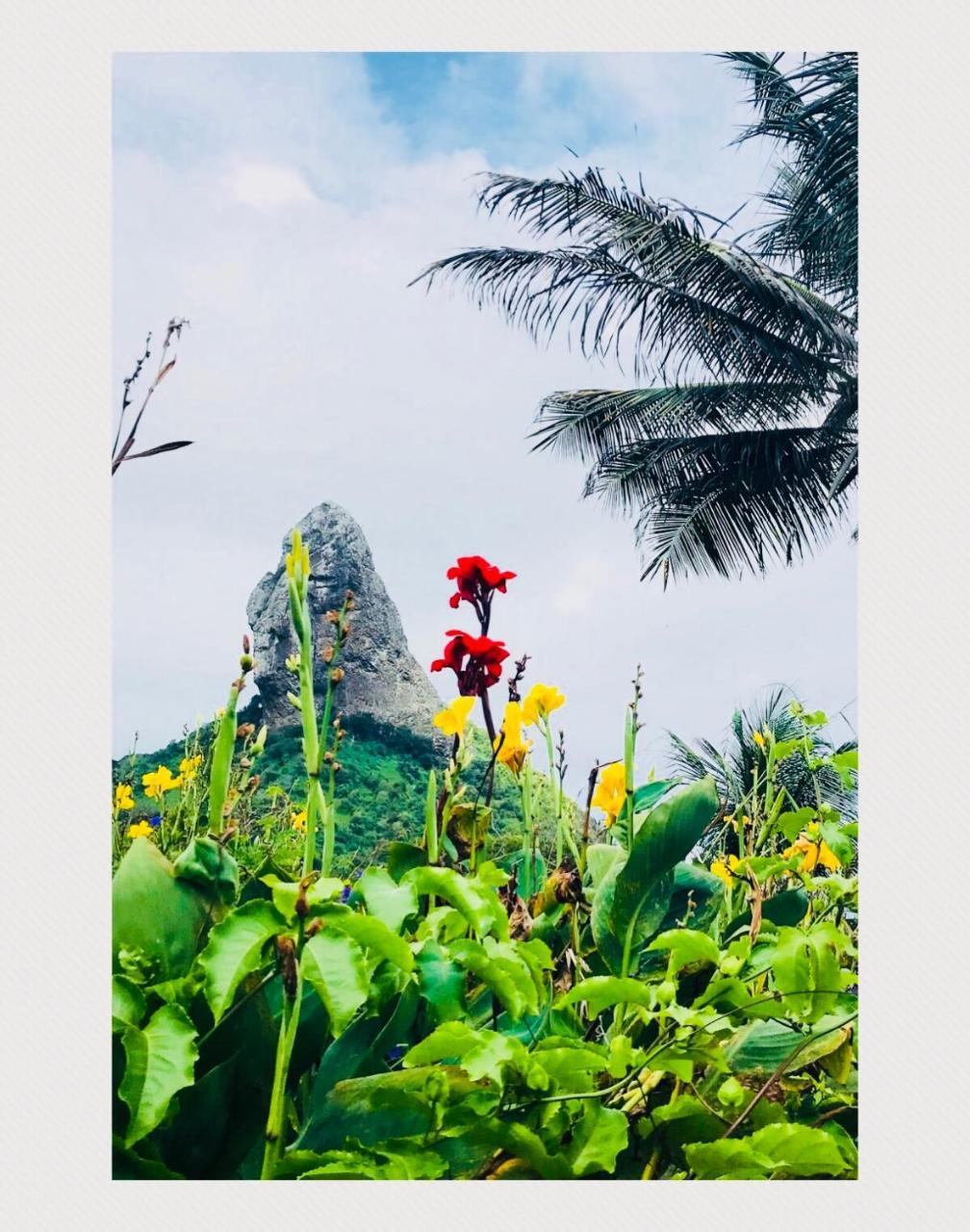 Pousada Morro Do Pico Fernando de Noronha Exterior foto